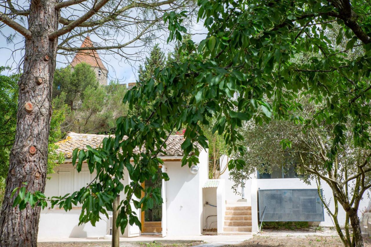 Villa Les Pimprenelles Carcassonne Esterno foto